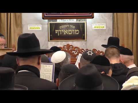 הרב בן ציון מוצפי • פרשת יתרו • מוסאיוף שבט תשפ"ג