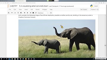 DL with Python 33. Deep Learning for Computer Vision-11: 卷積神經網路的可視化-3 (recorded on 20190312)