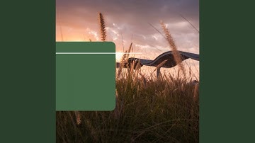 Scintillating Backdrops for Busy Weekdays