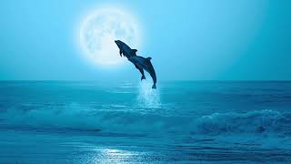 Harmonic Waves and Ambient Music for Ultimate Calm and Stress Relief