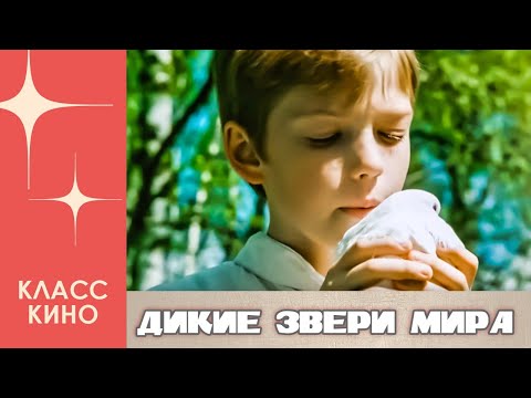 Дикие звери мира (2004)