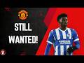 Carlos Baleba to Manchester United? Why It Still Makes Sense...