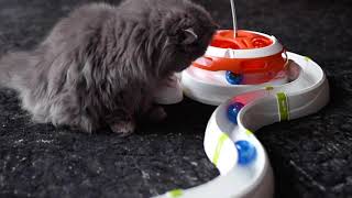 CAT TOYS: How to entertain your cat with Ferplast games screenshot 3