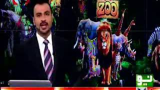 Neo News: Helping Hand Establishes Rehab Center in Karachi (URDU)