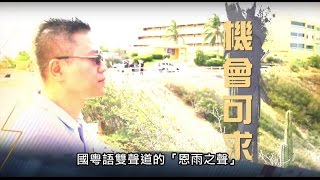 Information 电视节目 TV 1368 机会可求 (HD国语) (委内瑞拉系列) News
