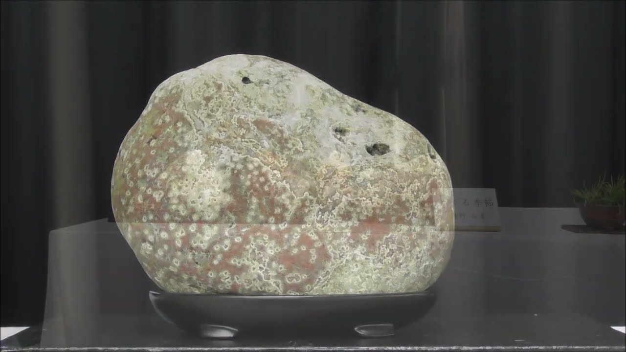 水石　紋様石　道 水石 紋様石 道 水石紋様石道