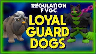 Double Guard Dogs CAN'T BE INTIMIDATED! || Pokemon Scarlet/Violet Reg F Battles Indigo Disk DLC