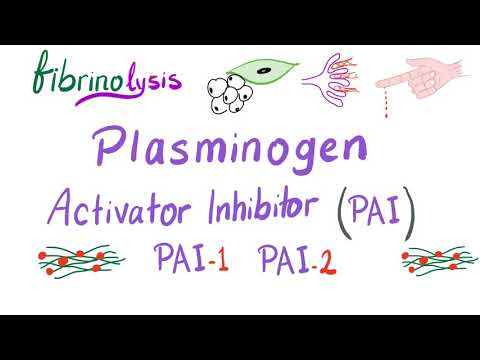 Vídeo: UPA E PAI-1 Como Biomarcadores No Câncer De Mama: Validados Para Uso Clínico Em Estudos De Nível De Evidência-1