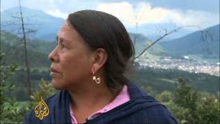 Battling Mexicos Illegal Logging Trade
