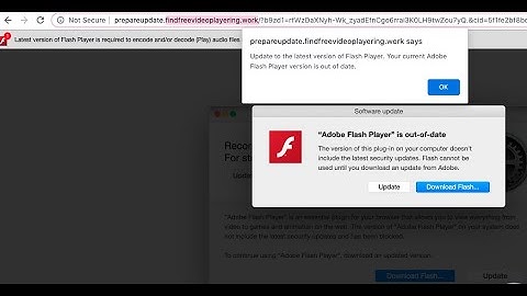 Findfreevideoplayering.work fake software update alert removal.