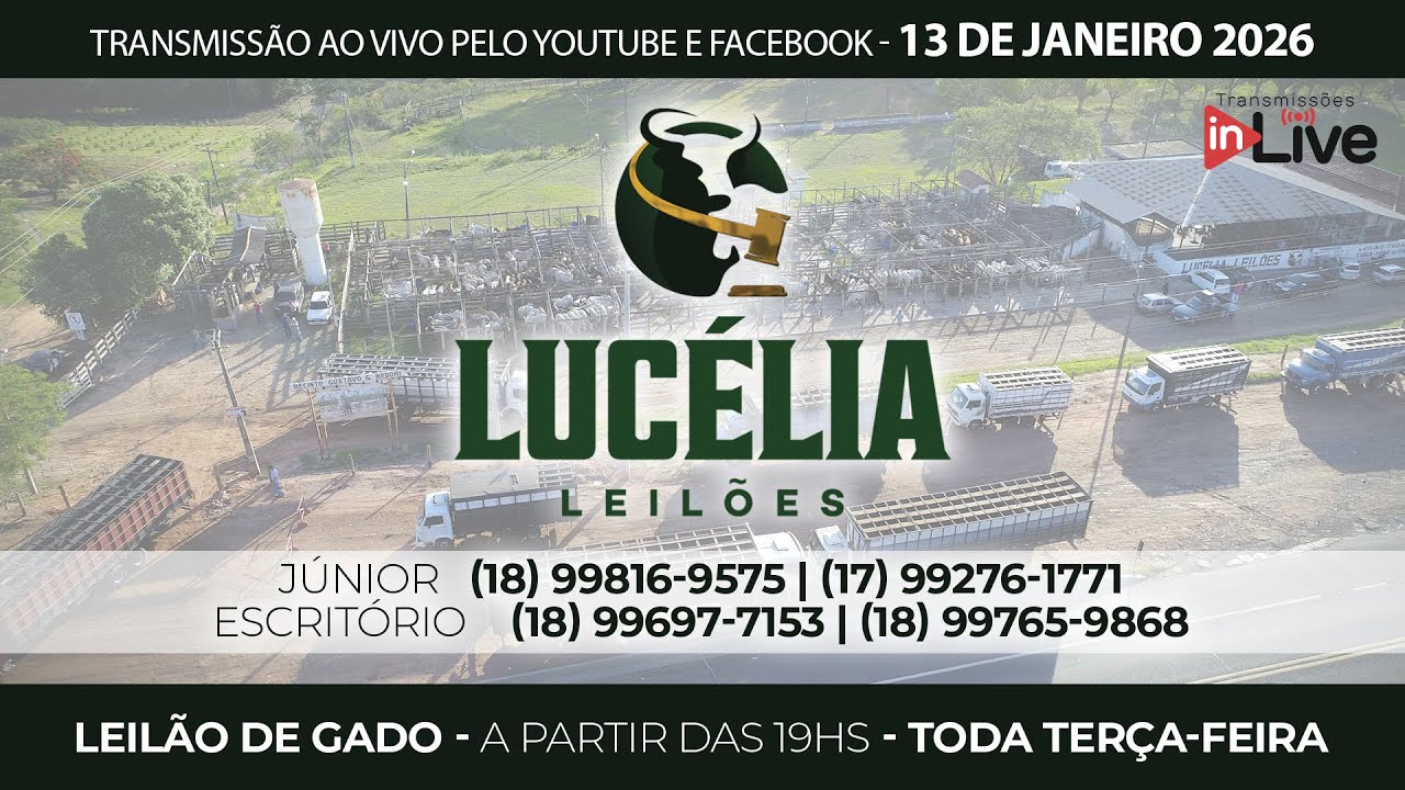LUCÉLIA LEILÕES - LEILÃO DE GADO AO VIVO - 18H - 13/01/2026 | 100 % Pesados no Recinto
