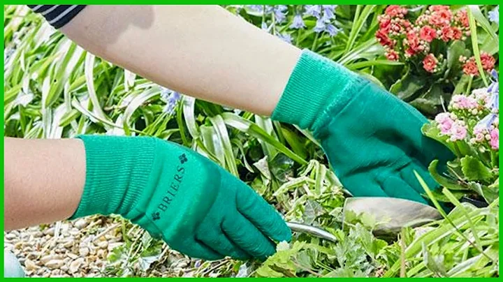 Top 5 Best Gardening Gloves in 2022 reviews