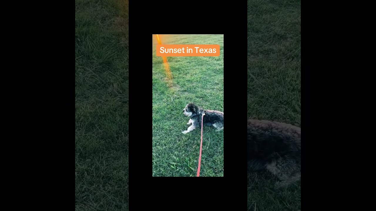 SUNSET IN TEXAS 🌆 