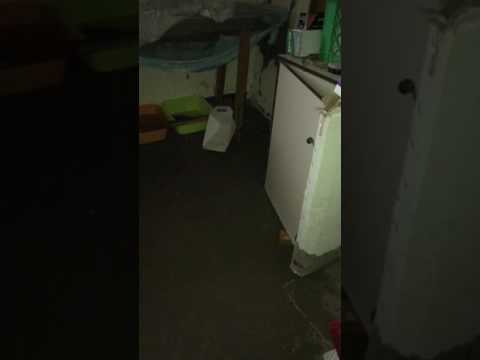 عائلة بحرينة تستغيث ولكن لامن مغيث