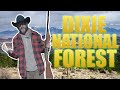 TOM GREEN -  DIXIE NATIONAL FOREST - UTAH - VAN LIFE