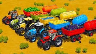 NEW HOLLAND vs CLAAS vs LAMBORGHINI vs VALTRA TRACTORS BATTLE WITH FRUITS & WATER TANKS  Fs22