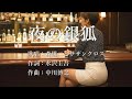 夜の銀狐 森雄二とサザンクロスさんの歌唱です