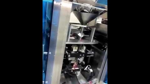 WP-EC461016 Economical Type Weighing and Packing Machine Video 2 from Wilpac