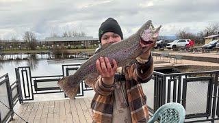 (2025 Winter Trout Fishing!) At JUNCTION CITY PONDS! Big fish!