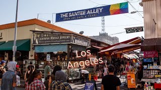 Que VENDEN en Los CALLEJONES | SANTEE ALLEY en Downtown Los Angeles, California