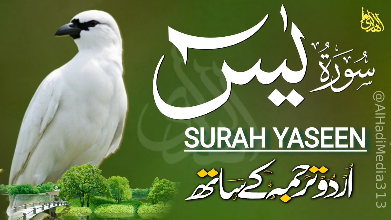 Surah Yaseen Urdu Tarjuma ke Sath | Peaceful Recitation | Episode - 664