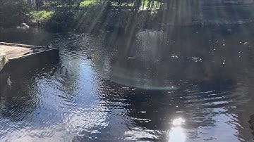 Pedagogical Narration on Time