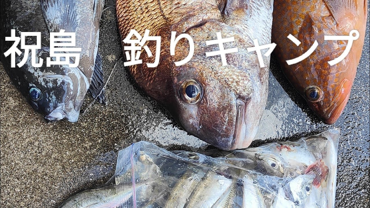 2024/７/６　祝島　釣りキャンプ