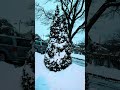 #fypシ゚viral #winter #canada