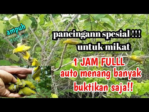 Bukan Puasa.. Tapi ini Amalan Tertinggi Dibulan Rajab | Ust Adi Hidayat 