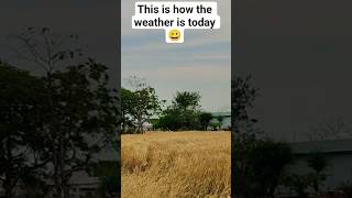 The weather is #bad today, it seems it's going to rain # Please subscribe to my YouTube channel 👉🌦️