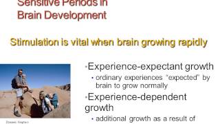 Physical Development first 2 years