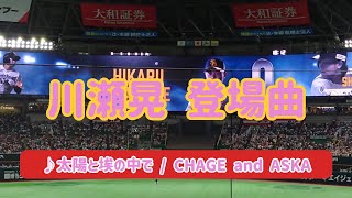 【川瀬晃】2024年登場曲 ♪太陽と埃の中で / CHAGE and ASKA 2024.05.06