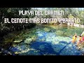 EL CENOTE MAS BARATO DE PLAYA DEL CARMEN FEBRERO 2021