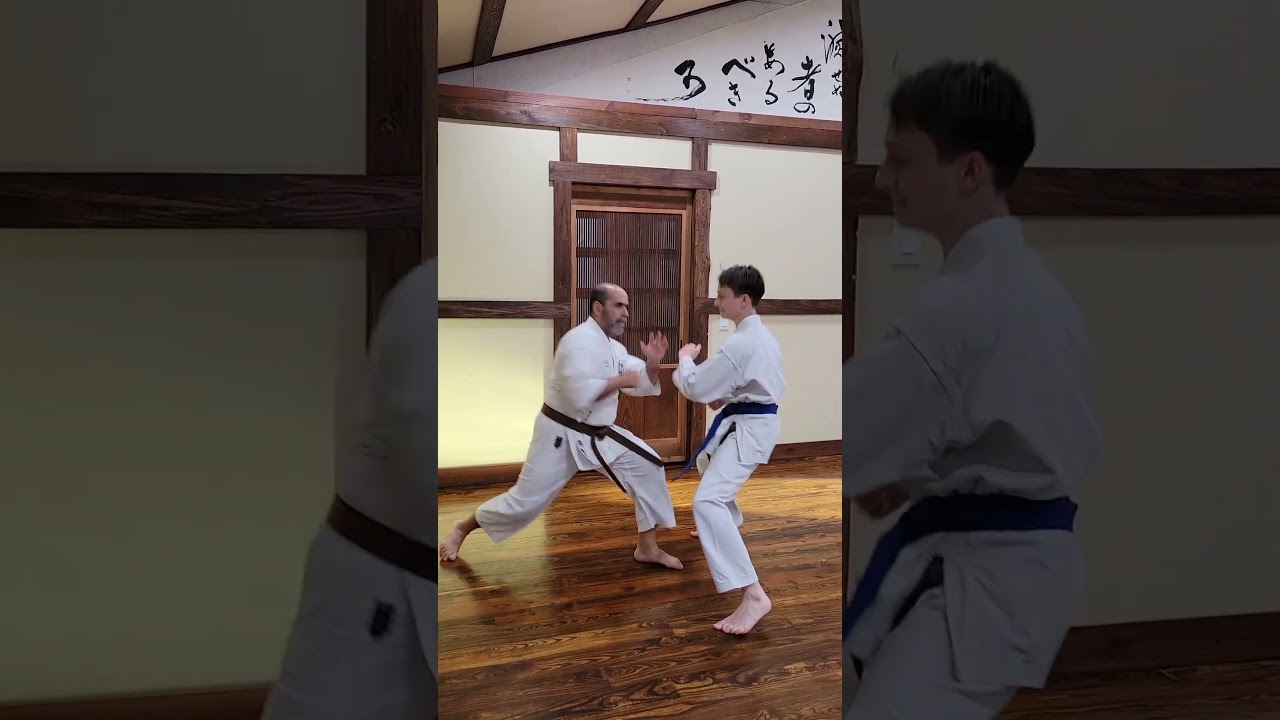 Stress testing karate basics. #martialarts #floridabudokan #karate