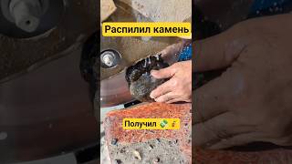 Деньги на камнях #камнемания #окаменелости #аммонит #септария #кристаллы #минералы #деньги