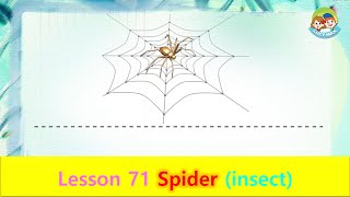 80 animals unit 71 spider insect