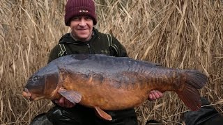 Terry Hearn - The Parrot - Iconic Carp Fishing