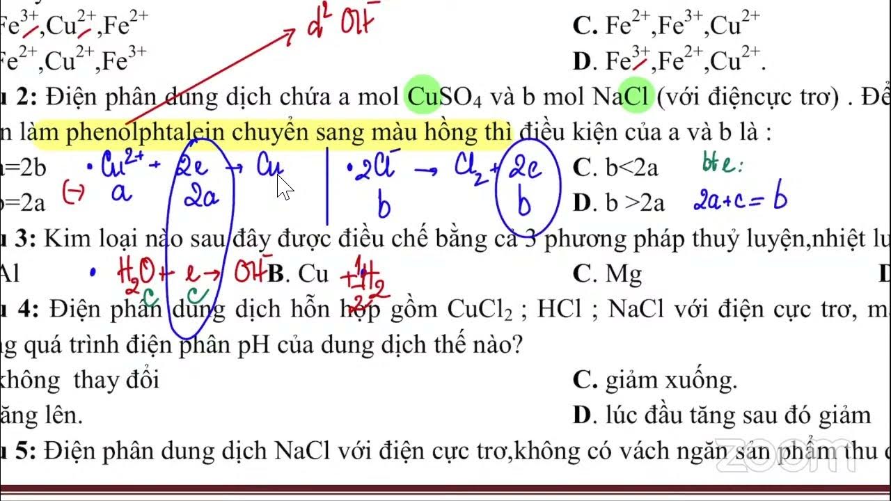 Bài Tập Trắc Nghiệm Ăn Mòn Kim Loại