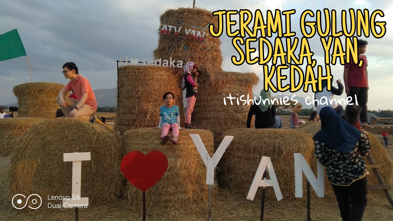 Jerami gulung yan kedah