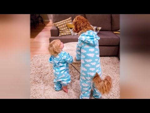 Video: „Toddler & His Labradoodle Sidekick“yra „Cutest BFFs“Instagram