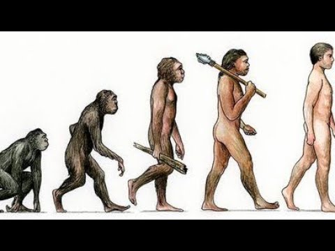 हमारे पूर्वजों का इतिहास क्या था ? Story of Human Origin.