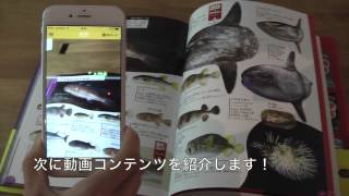 学研の図鑑LIVE「魚」AR紹介！