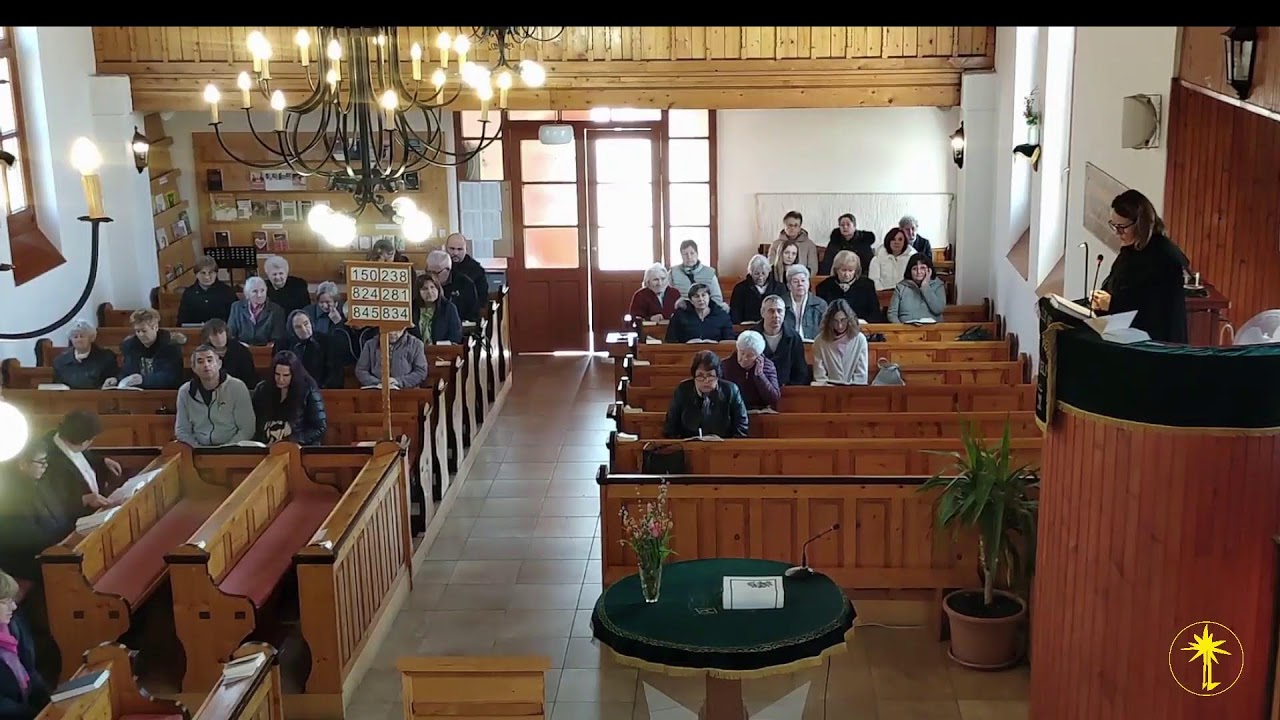 2026.03.01. Zsolt 139., Jn. 12: 20-36