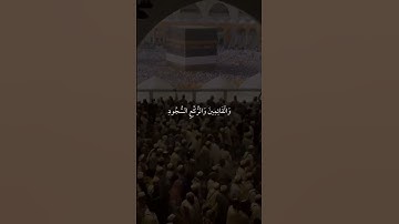 ماهر المعيقلي |سورة الحج