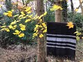 Zwartbles ireland travel rug in the wood with pepper