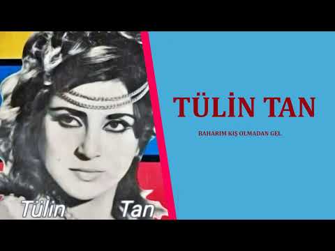 Tülin Tan /  Baharım Kış Olmadan Gel