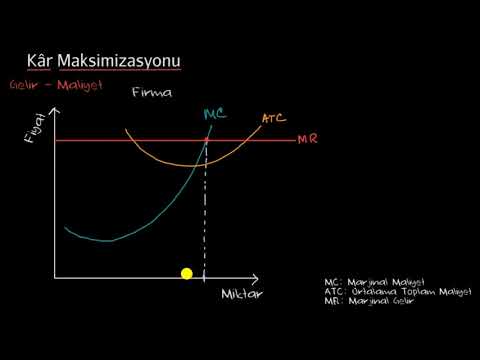 Kâr Maksimizasyonu (Mikroekonomi)