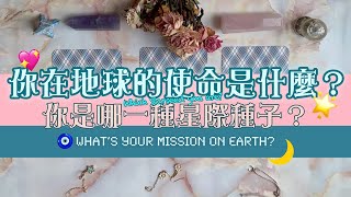 ☽ 塔羅占卜 你在地球的使命是什麼你是哪顆星際種子 Timeless (English & Chinese Subtitles)