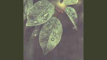 Energetic Backdrops for Java and Rain