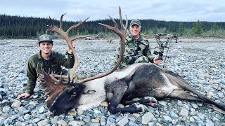 Archery Alaskan Caribou